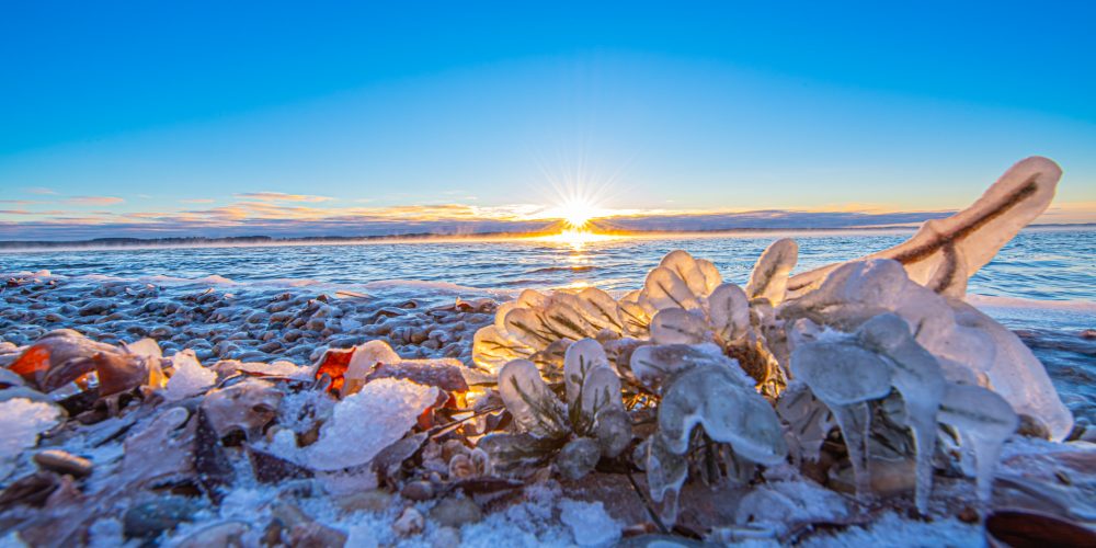 Arctic Dawn