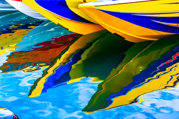 Aquatic Reflections: Vivid and Fluid