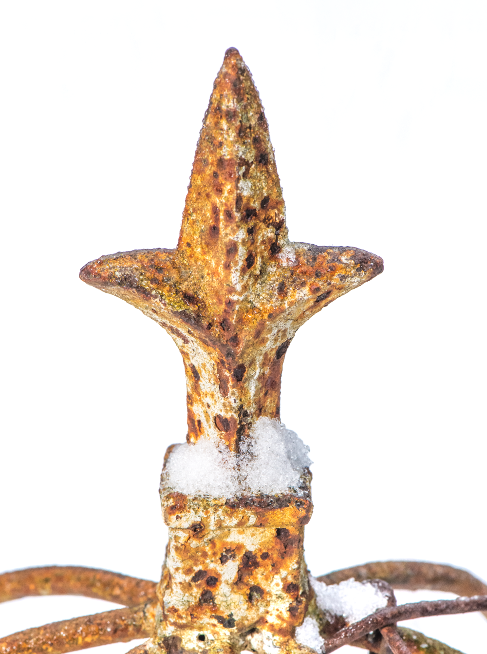 Frosted Crown Royalty