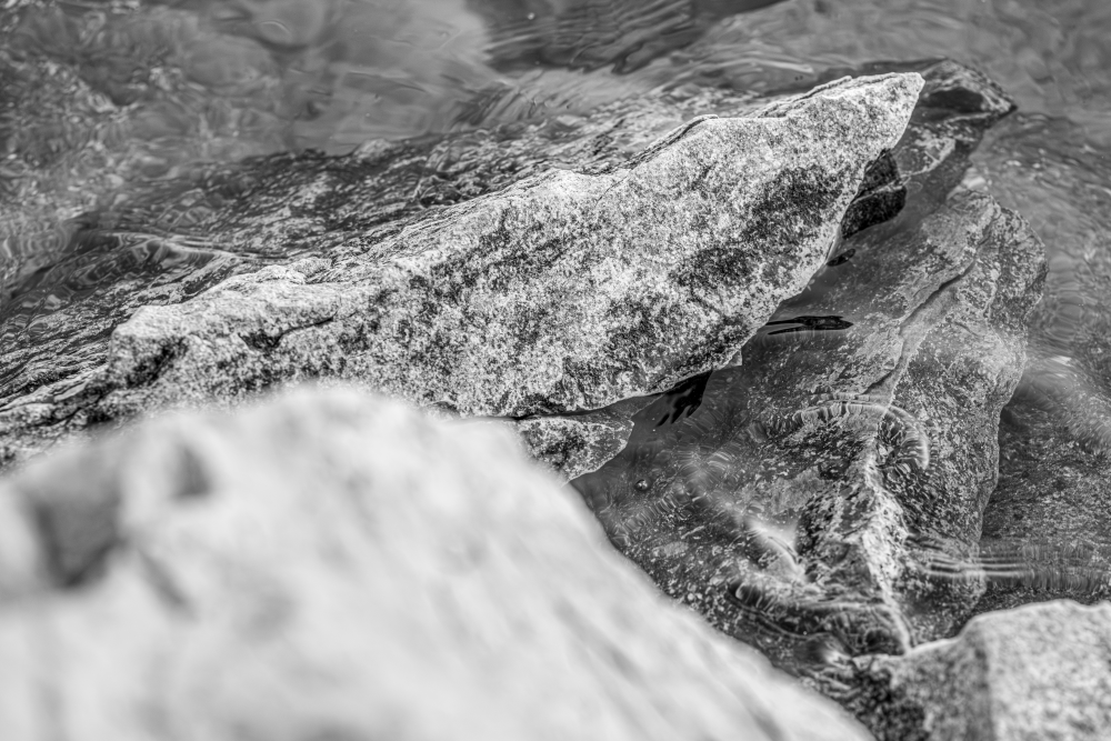 Textures of Tranquility