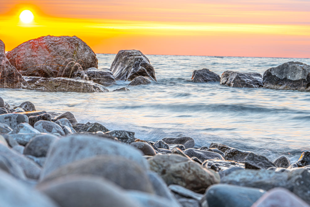 Gilded Mist in Motion