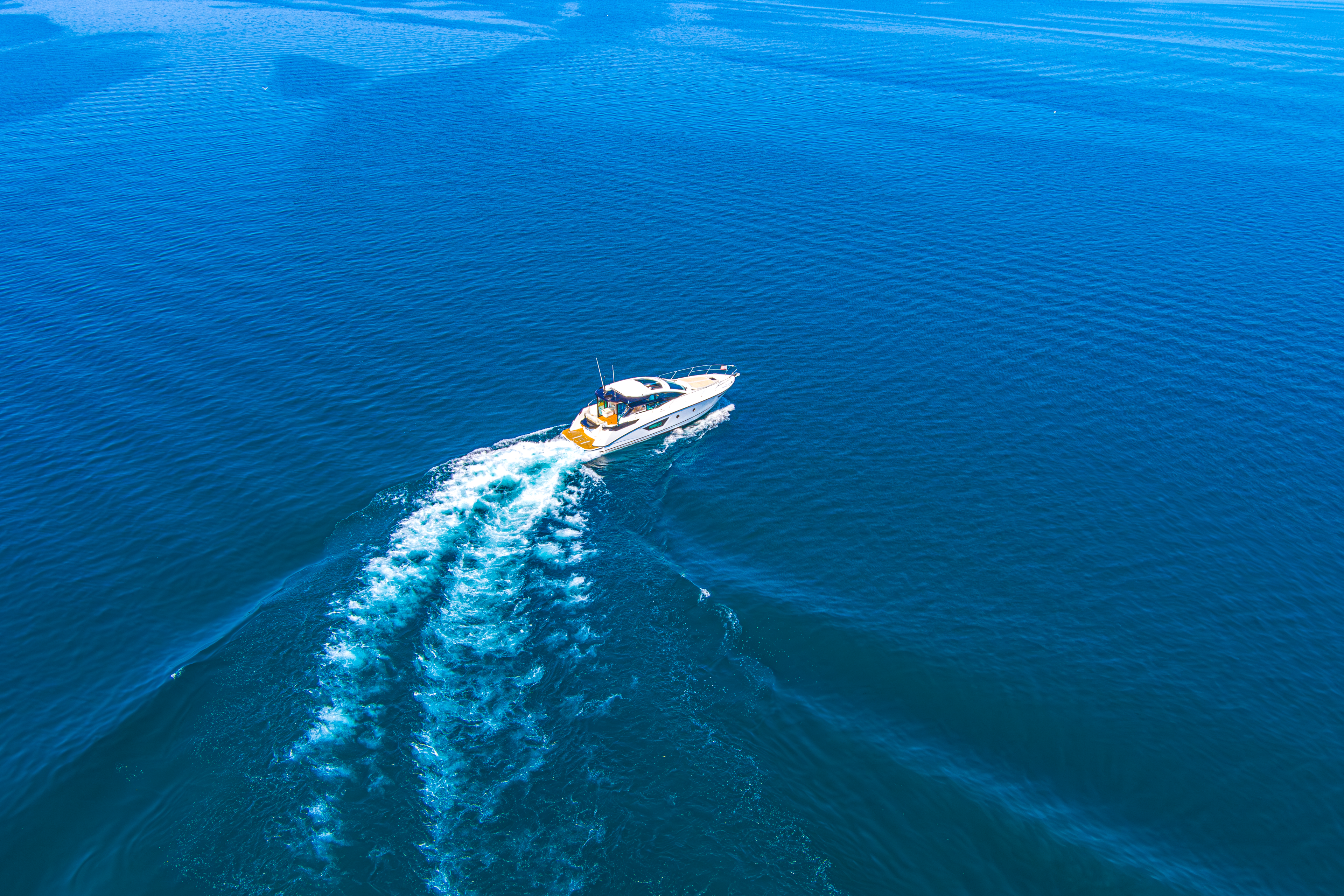 Wake of Elegance