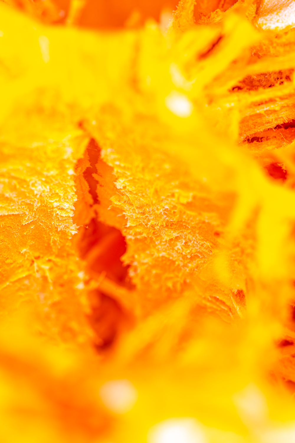 Hidden Worlds Within