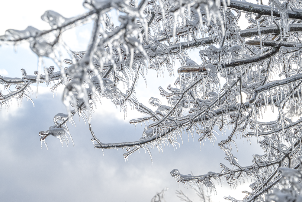 Michigan Ice Storm 2025 - Vitreous Lattice 1