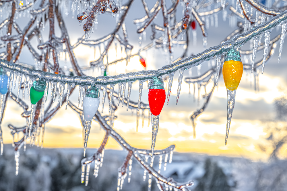 Michigan Ice Storm 2025 – Frosted Filaments