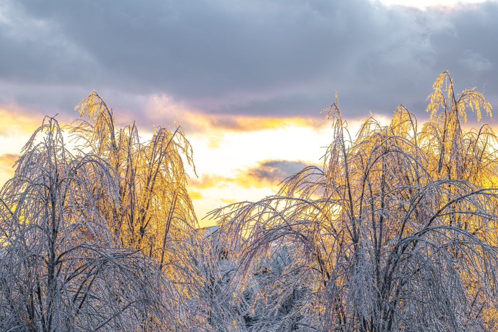 Michigan Ice Storm 2025 – Lavendar StormGlass