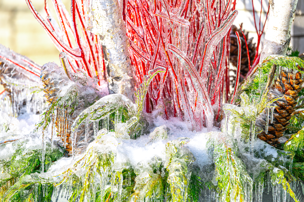 Michigan Ice Storm 2025 - Tidings in Crystal